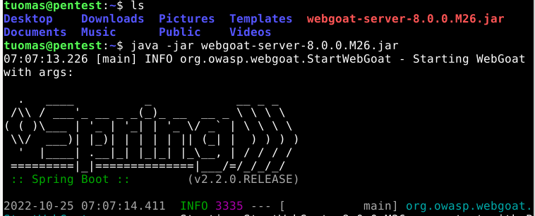 running WebGoat